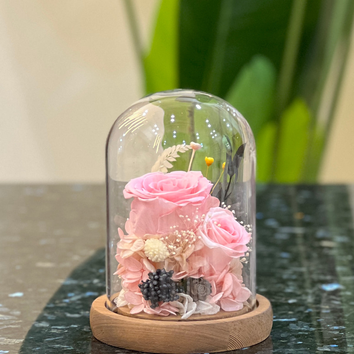 Front view of preserved pink roses, hydrangea and dried flowers in a glass dome