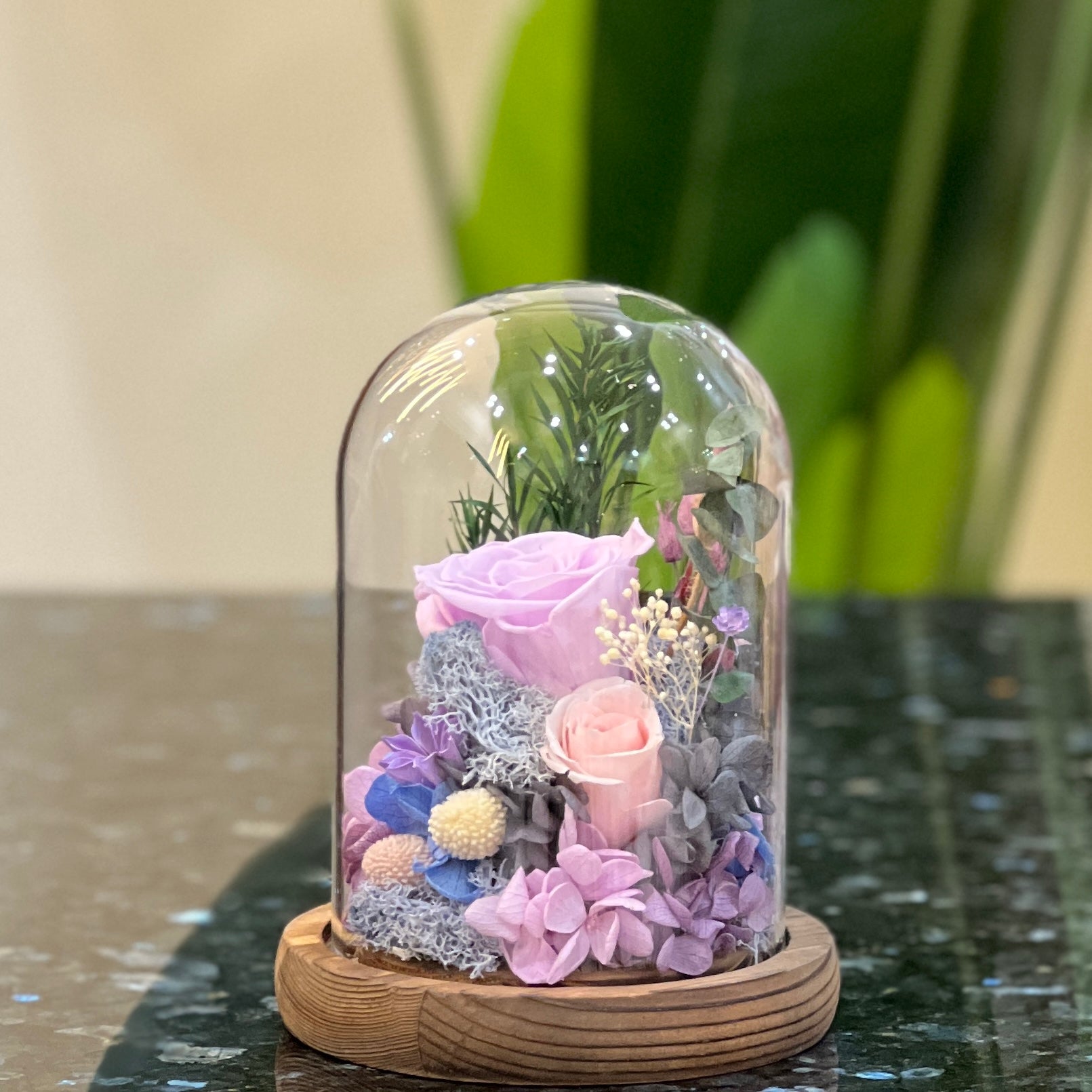 Side view of a preserved purple rose garden in a tall glass dome on a wooden base