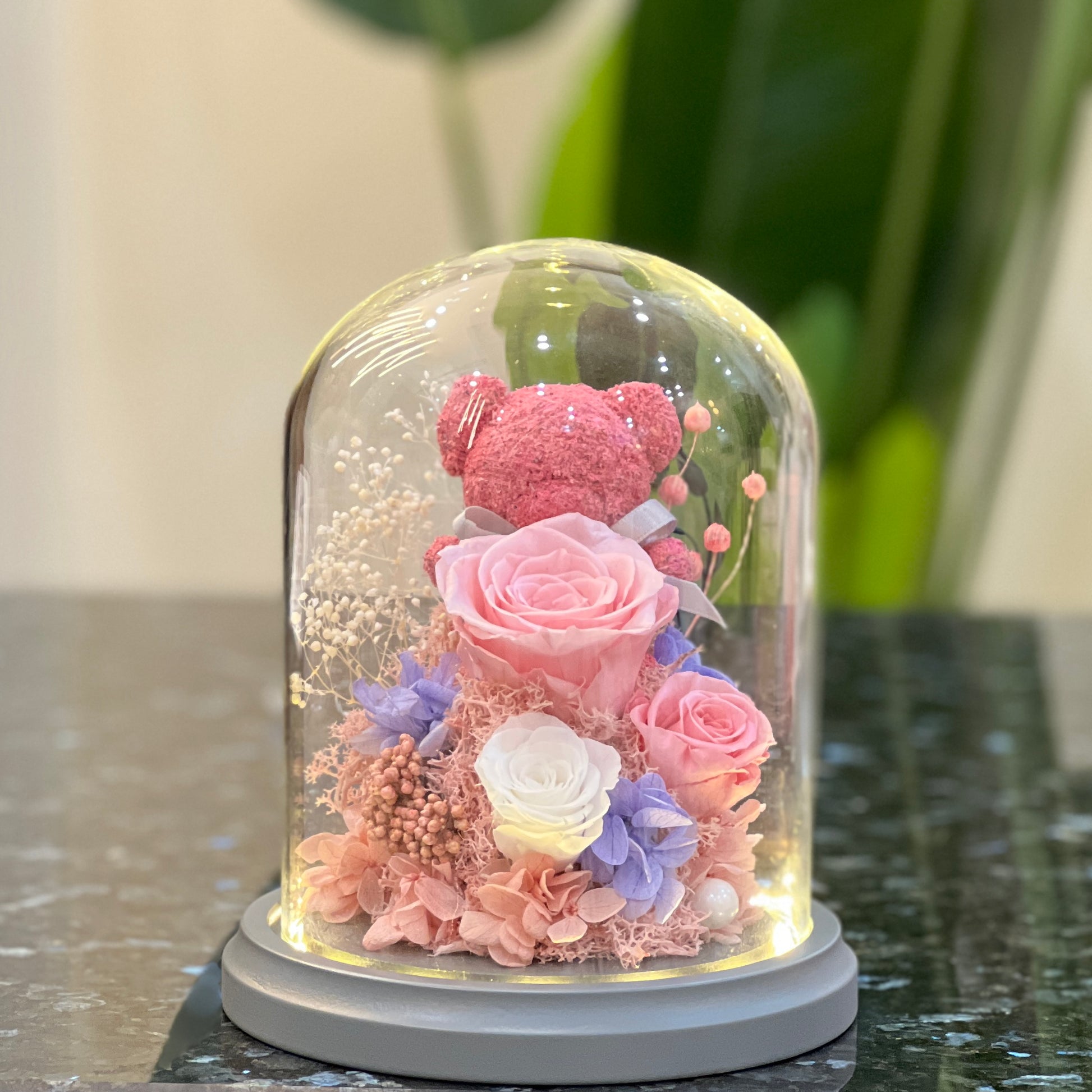 Pink rose bear with preserved roses glowing under a glass dome with LED on