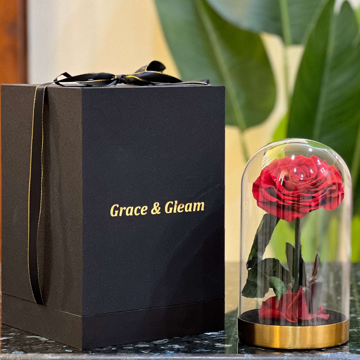 Red forever rose in a glass dome beside a Grace & Gleam gift box