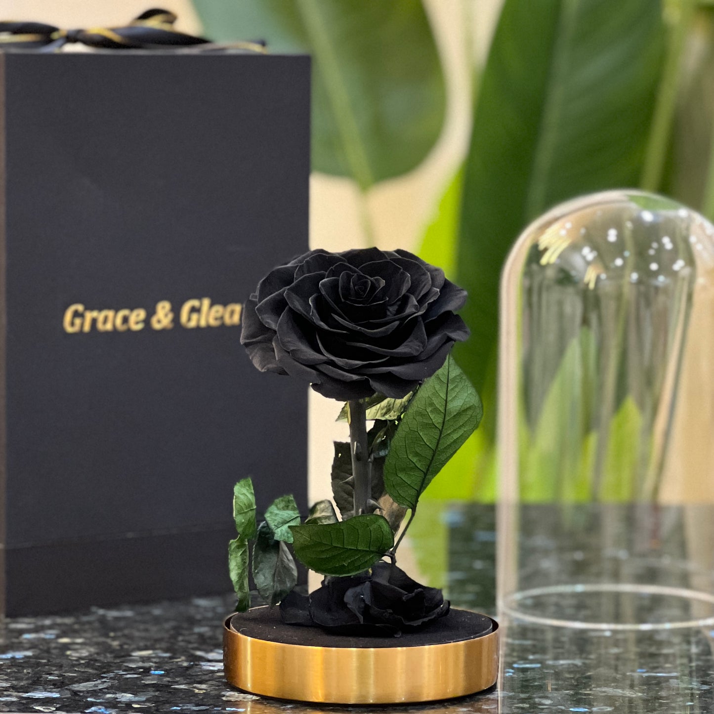 Preserved black rose on a gold base beside a Grace & Gleam gift box