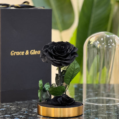 Preserved black rose on a gold base beside a Grace & Gleam gift box