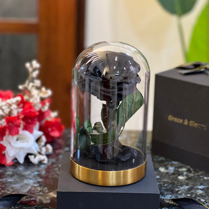 Forever Rose in Glass Dome – real preserved black rose on a gold base
