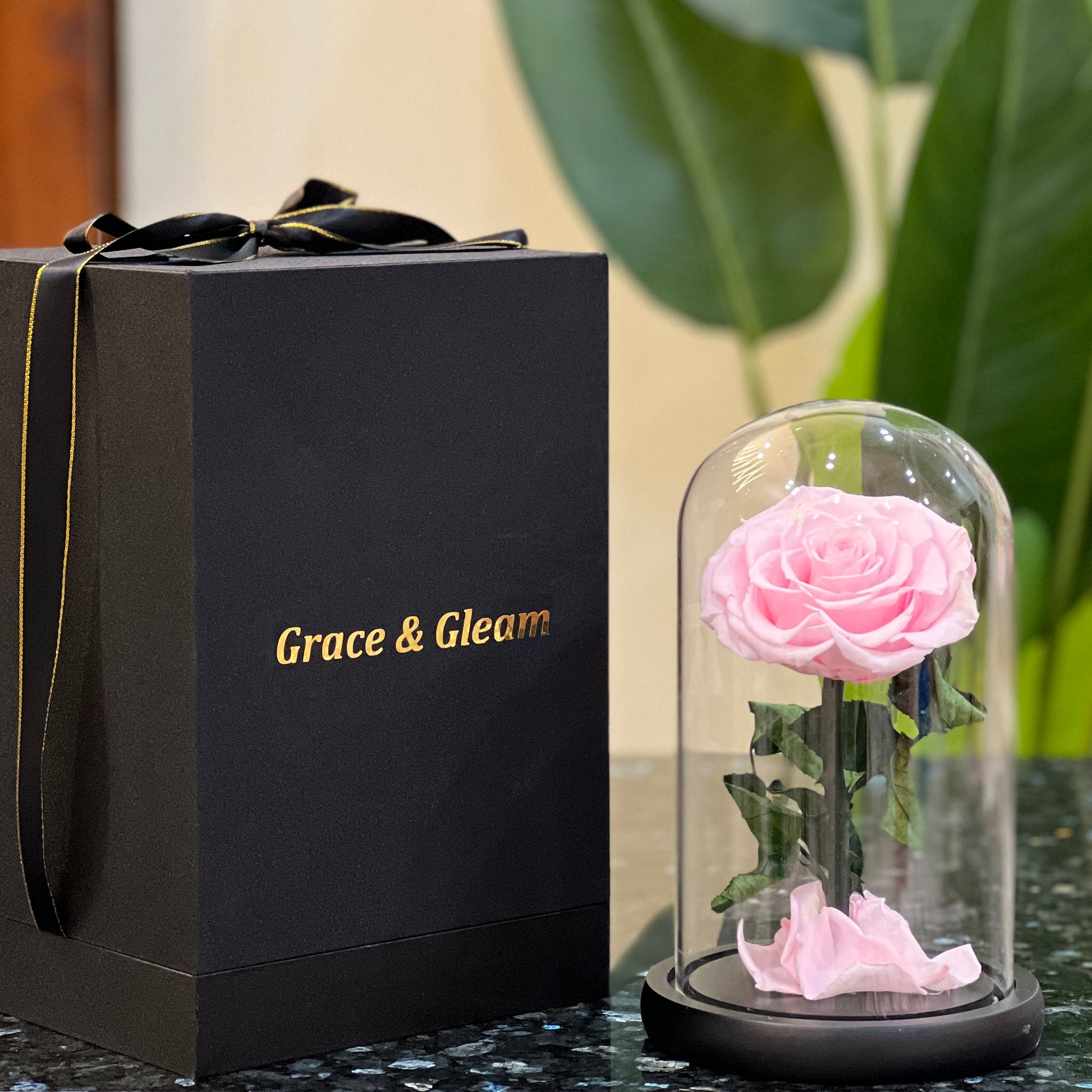 Pink forever rose in a glass dome beside a Grace & Gleam gift box