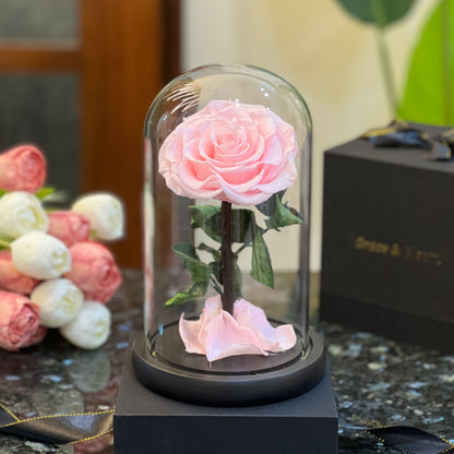 Forever Rose in Glass Dome – real preserved pink rose with LED on a black base