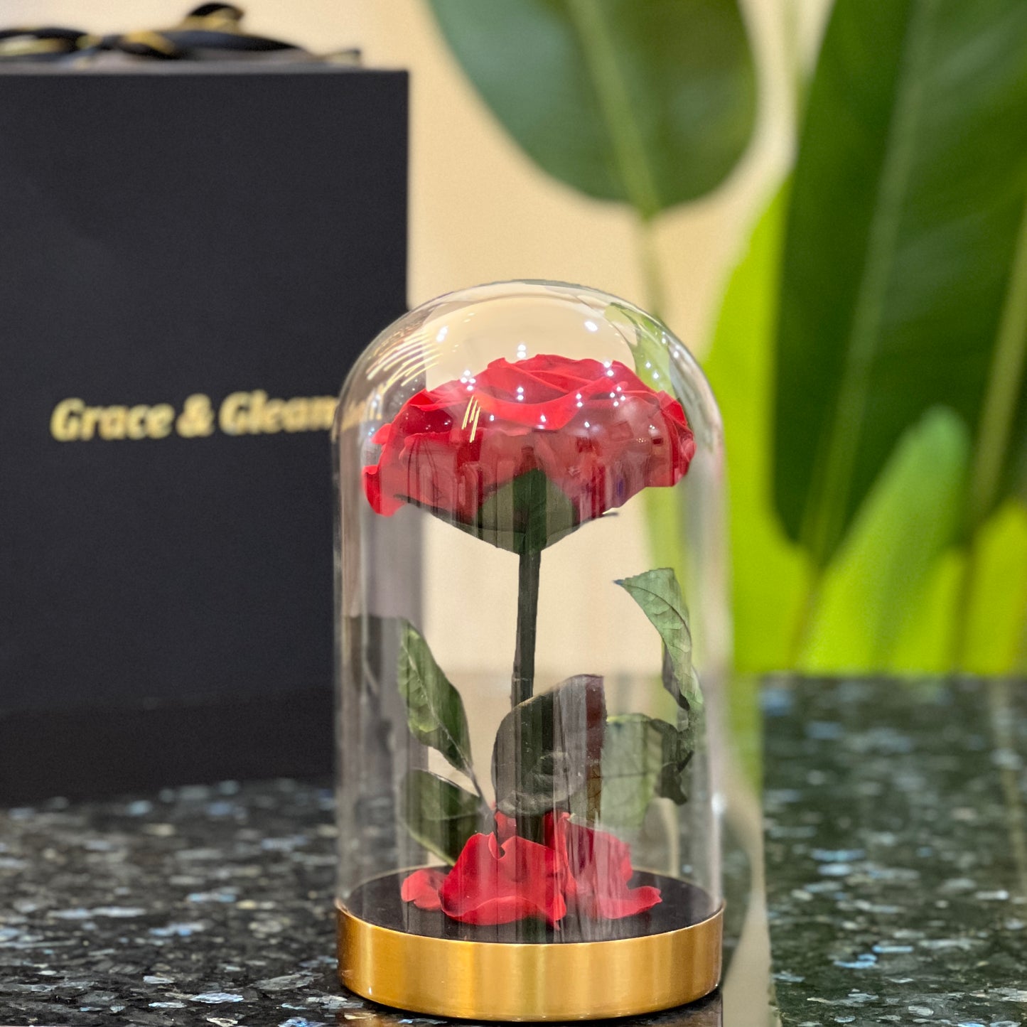 Back view of a preserved red rose in a glass dome on a gold base