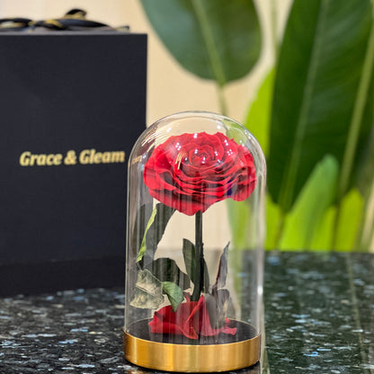 Front view of a preserved red rose in a glass dome on a gold base