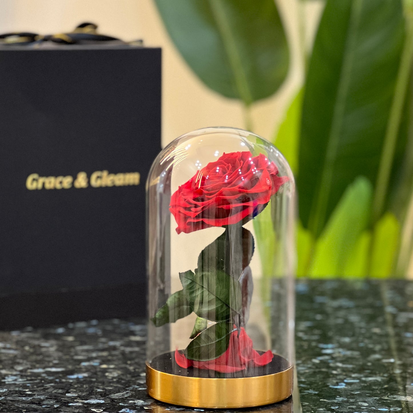 Side view of a preserved red rose in a glass dome on a gold base