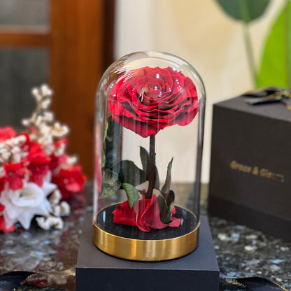 Forever Rose in Glass Dome – real preserved red rose on a gold metal base
